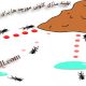 تشخیص لبه تصویر با الگوریتم کلونی مورچگان در متلب