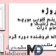 پروژه ترکیب الگوریتم کلونی مورچه ، الگوریتم ژنتیک و PSO برای حل مساله TSP در متلب