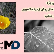 پروژه جداسازی پس زمینه از پیش زمینه تصویر در متلب